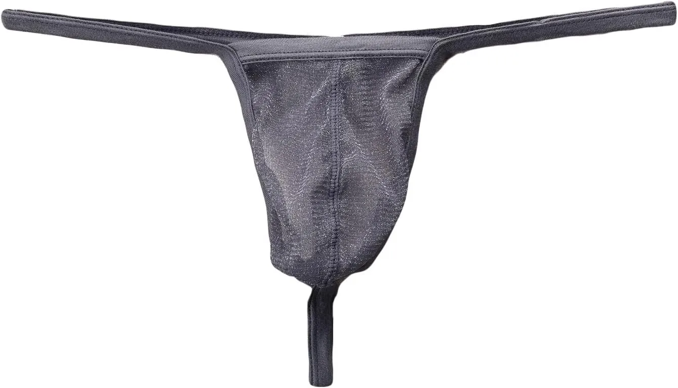 JEsilunmaMY Low Rise T-Back for Men Mesh Sheer Bulge Pouch G-String Thongs See Through Sexy Panties Bikini Briefs Underwear