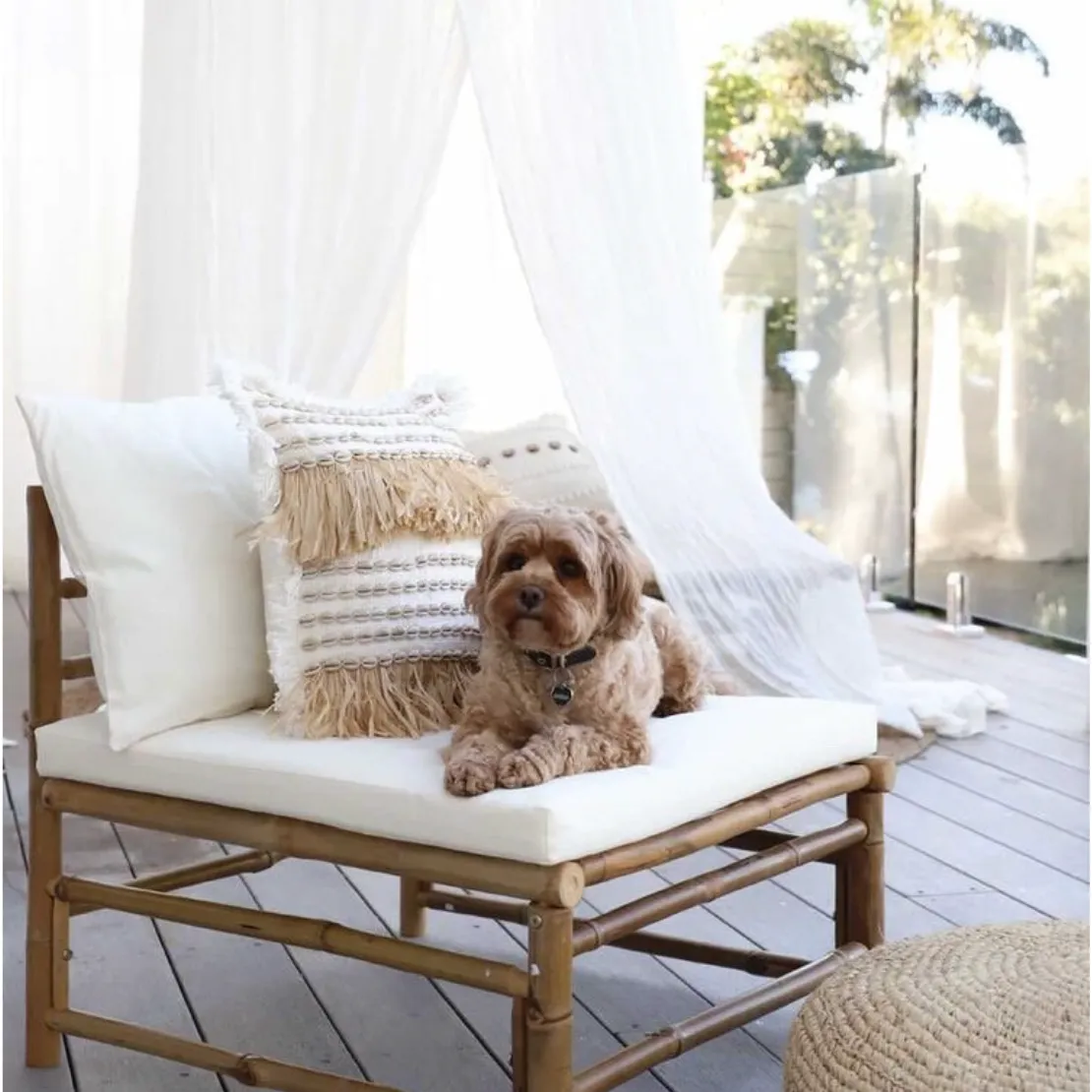 Paradiso Cushion Cover..